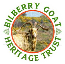 Bilberry Goats Heritage Trust
